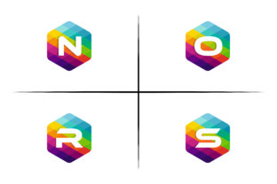 Nors Hexagon Mosaic Logo